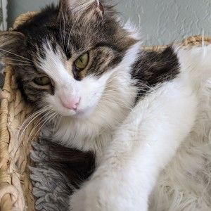 Meet your Posher, Keri